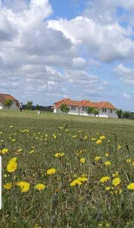 Ferienapartment Wiese & Meer Auf Ruegen Neddesitz Екстер'єр фото